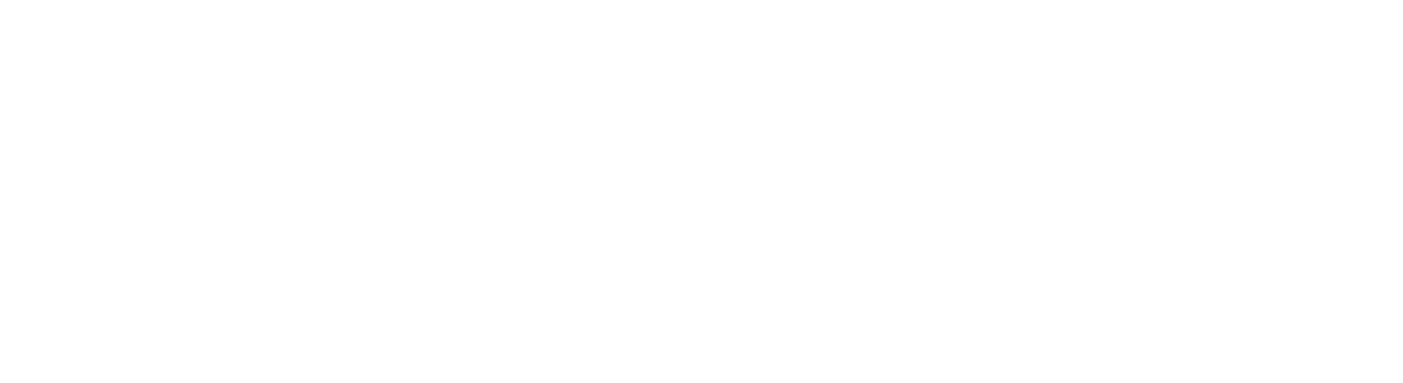Logo-Choices-Care-Companions-White